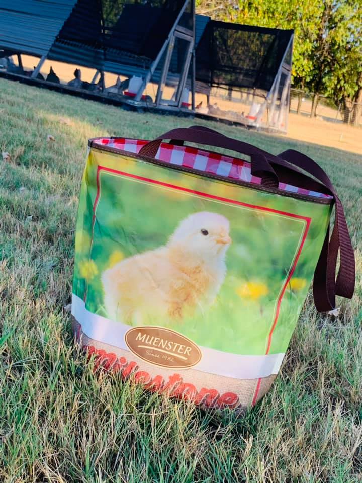 Baby Chick Market Bag
